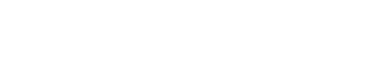 WIBOOK Logo